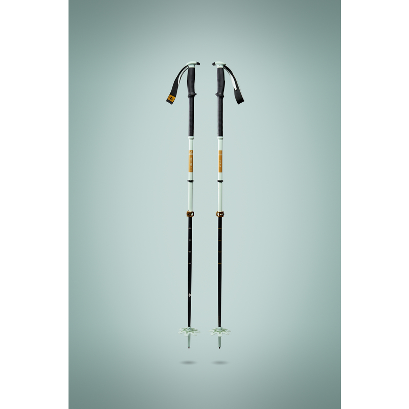 Traverse Pro Ski Poles – Black Diamond
